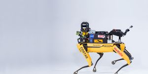 a yellow and black quadruped robot