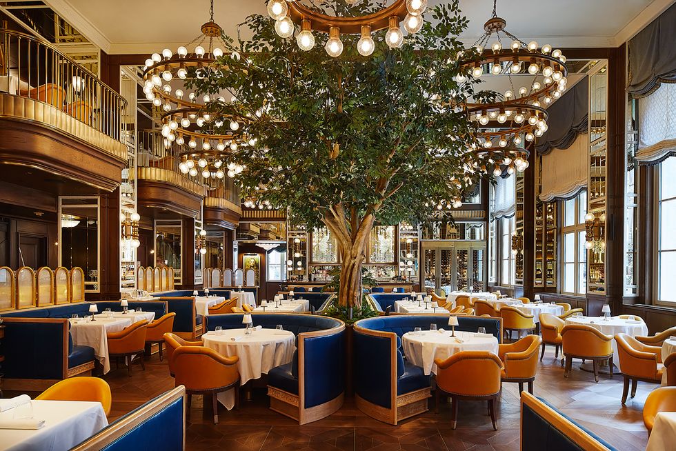 cafe carmellini at the fifth avenue hotel new york city