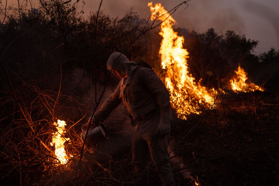 pantanal on fire in brazil
