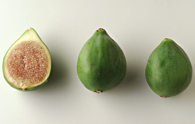 figs