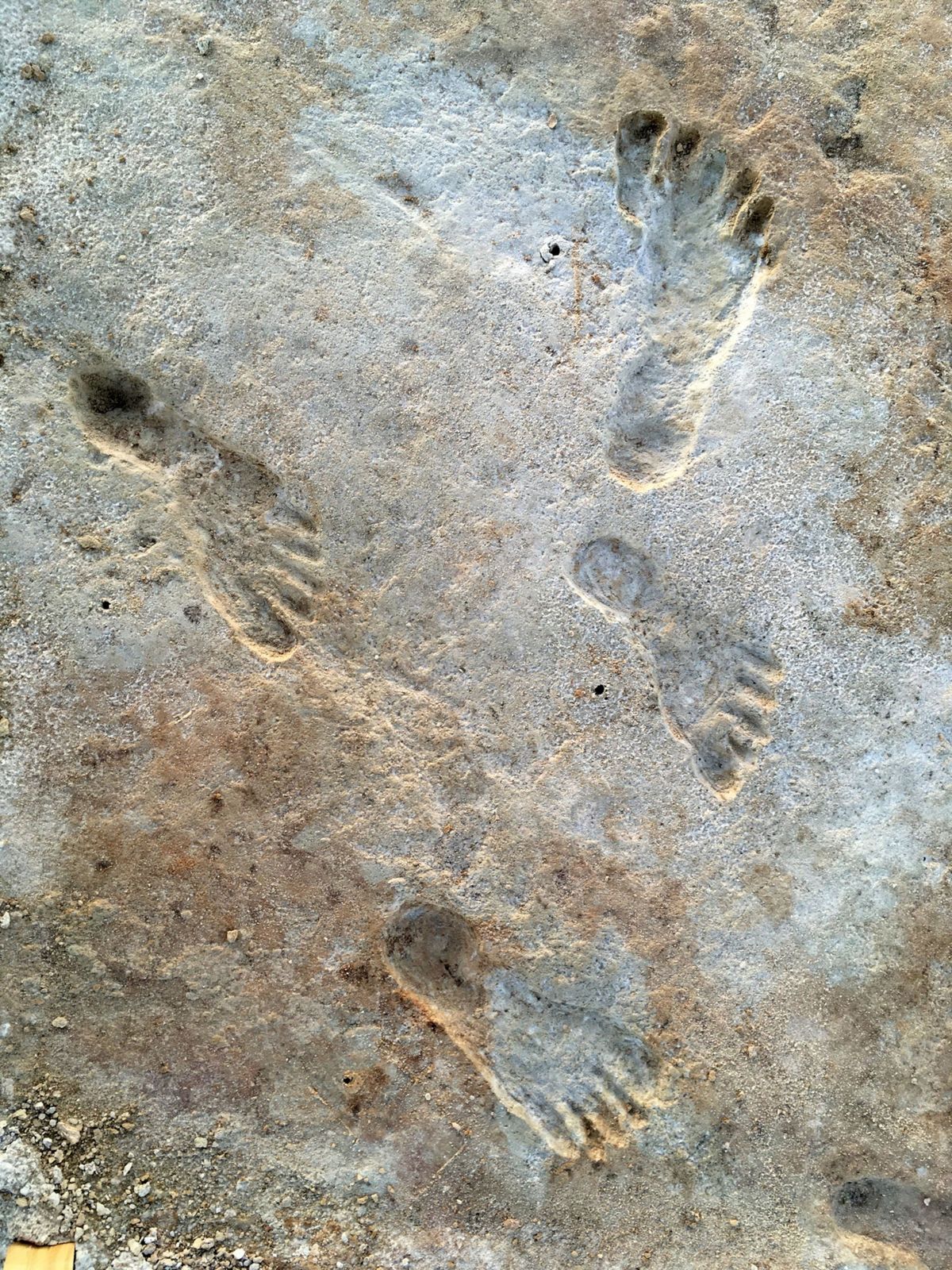 Deze cluster van menselijke voetafdrukken werd door onderzoekers ontdekt in het White Sands National Park Volgens een nieuwe studie zijn de sporen tussen de 23000 en 21000 jaar geleden ontstaan  in een periode waarin volgens de gebruikelijke opvattingen de komst van de eerste mensen naar het Amerikaanse continent nog werd verhinderd door reusachtige ijskappen