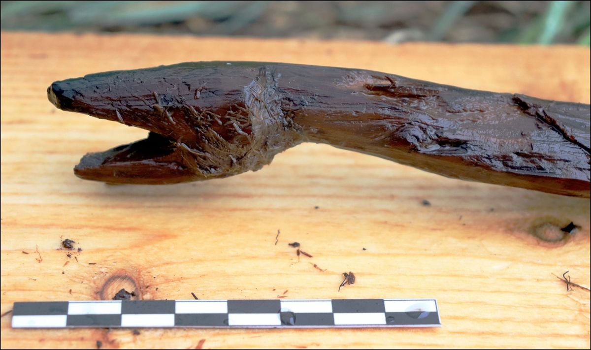 Deze vierduizend jaar oude slang werd gemaakt van een tak in een gebied dat tegenwoordig het zuidwesten van Finland is Onderzoekers vermoeden dat het voorwerp een ringslang of een adder voorstelt
