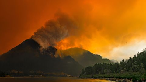 Het vuur van Eagle Creek werd naar verluidt gestart door tieners die vuurwerk in een droge vallei gooiden Na een maand branden heeft het vuur meer dan 197 vierkante kilometer land in de staat Washington verwoest Your Shotfotograaf Dylan Taylor heeft de vernietiging buiten Moffetts Hot Springs op beeld gezet De Columbia River Gorge zegt hij ziet er nu uit als een scne uit de apocalyps