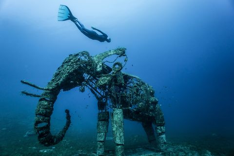In de Rode Zee voor de kust van Egypte zwemt een vrijduiker in de buurt van een kunstmatig rif dat eruitziet als een olifant Aangezien koraalriffen overtal ter wereld bedreigd zijn moeten kunstmatige riffen het ecosysteem onder water boosten Als ze er nog een beetje bijzonder uitzien zoals deze hebben onderwaterliefhebbers er nog meer plezier aan