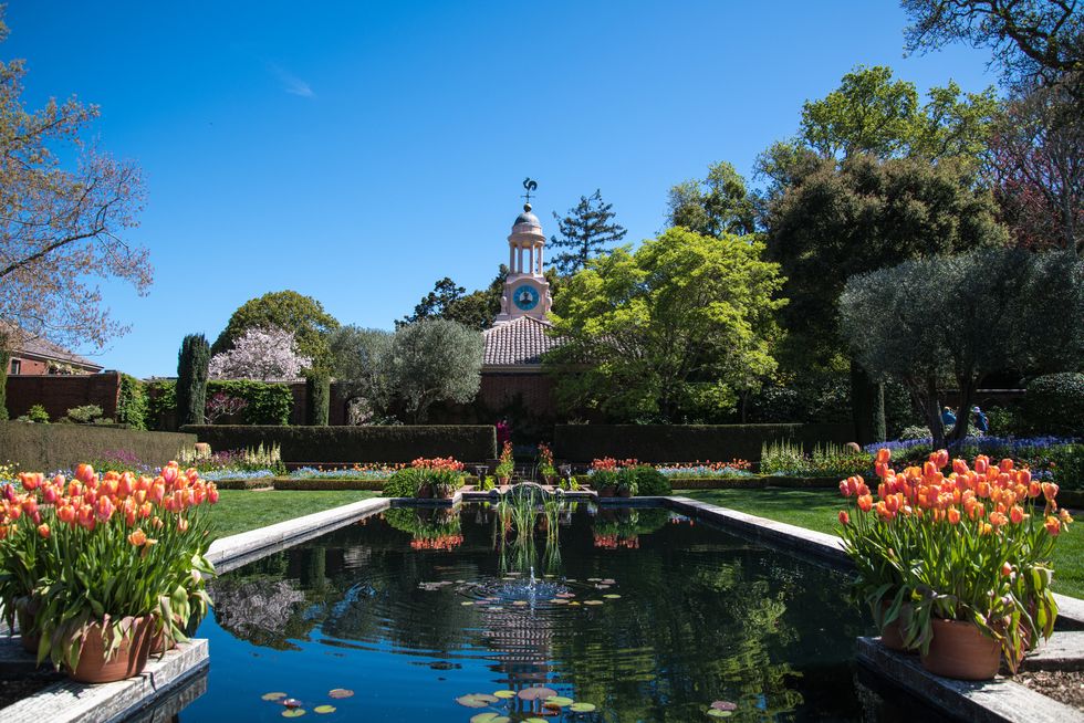 filoli gardens