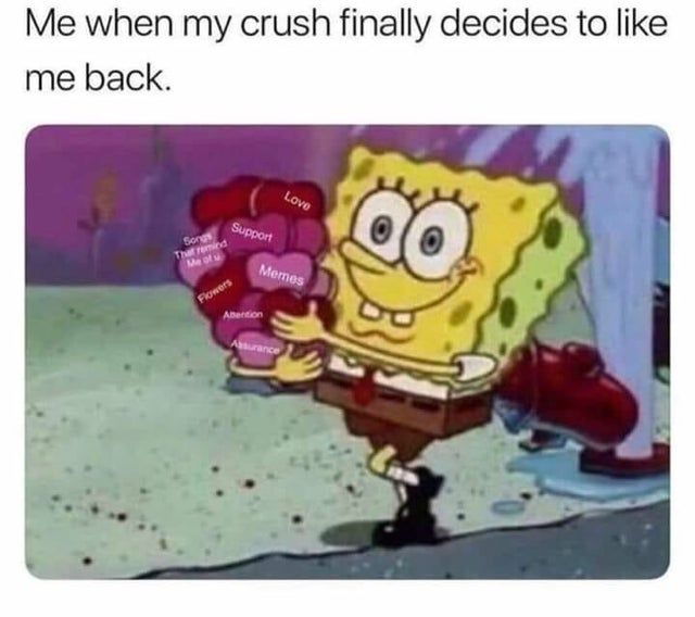 cute meme for crush