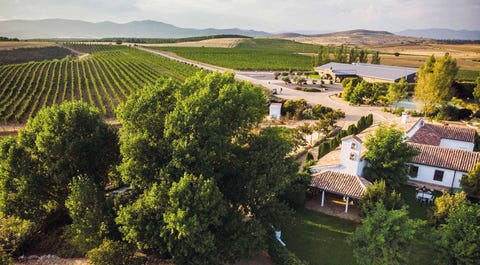 Bodega Finca Río Negro