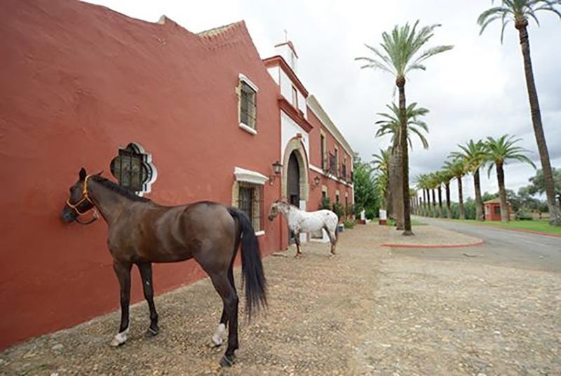 La casa de campo de Bertín Osborne (Sevilla) de Mi Casa es la Tuya