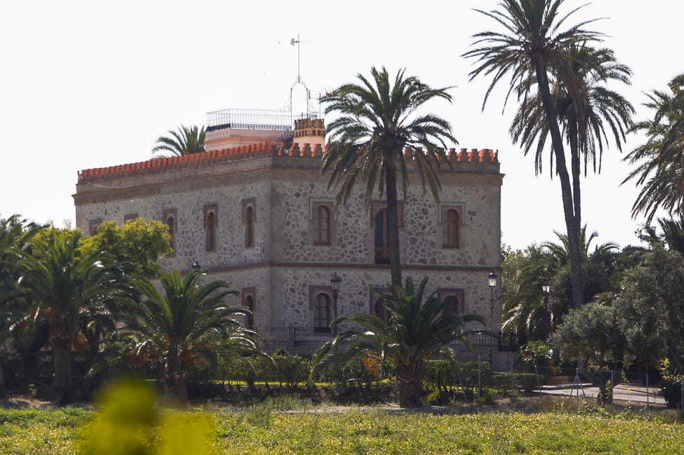 Tree, Palm tree, Building, Arecales, Architecture, Estate, Woody plant, Mansion, Palace, Plant, 