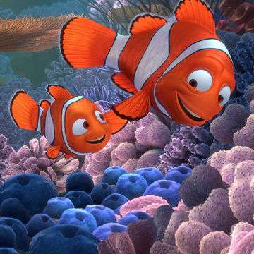 finding nemo theory is sending fans wild