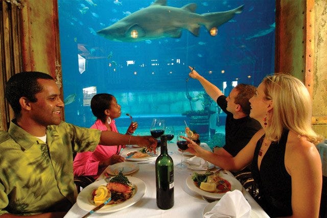 Restaurant, Meal, Aquarium, Vacation, Lunch, Tourism, Dinner, Event, Eating, Fish, 