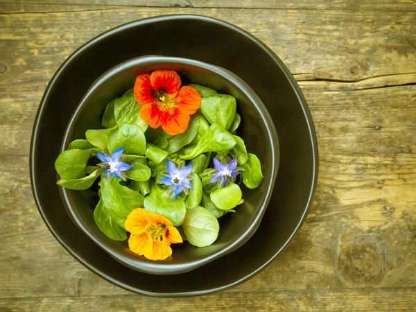 Flower, Plant, Dish, Leaf, Food, Salad, Ingredient, Cuisine, Primula, Vegetable, 