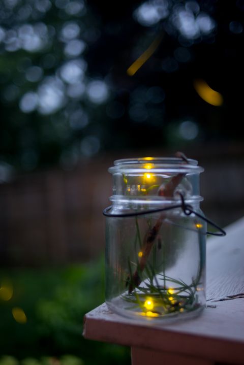 fireflies backyard camping ideas