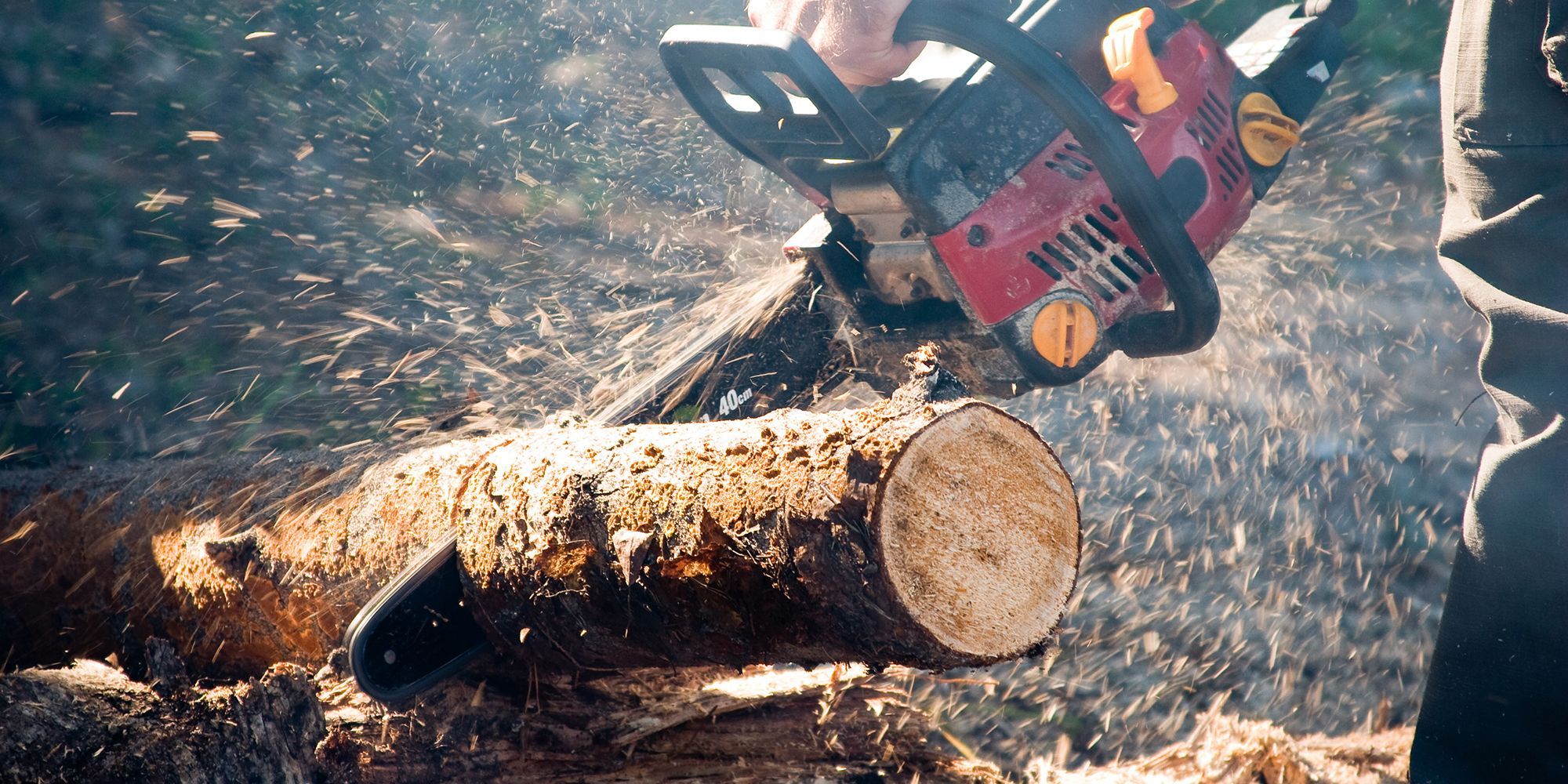 Firewood cut on sale off saw