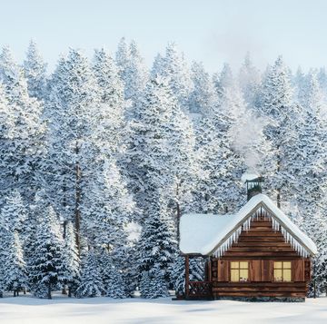 first day of winter 2021  cabin in winter forest