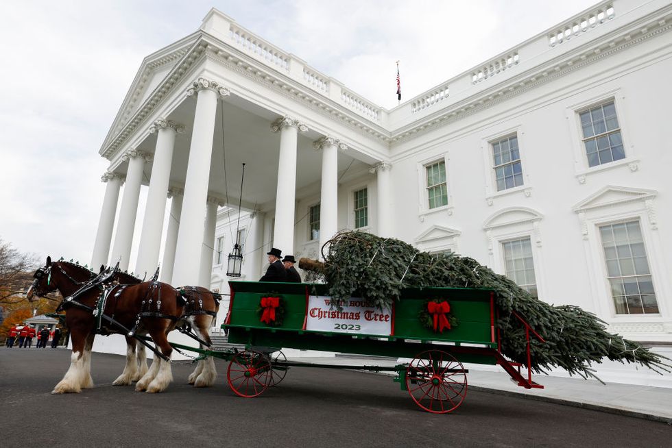 first lady jill biden receives the 2023 white house christmas tree