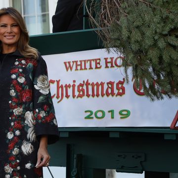 First Lady Melania Trump Receives White House Christmas Tree