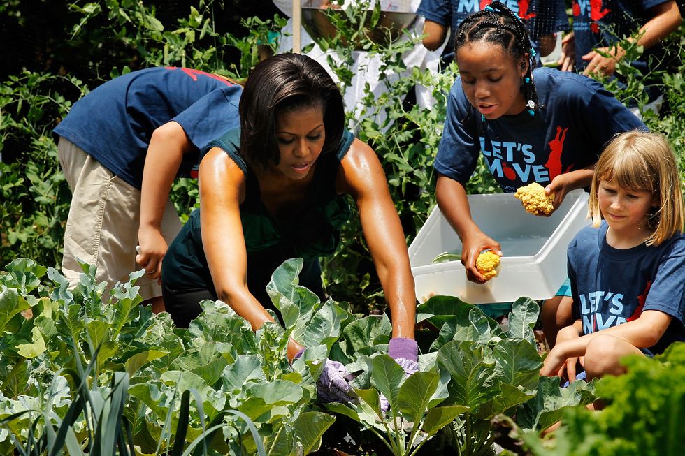 michelle obama works with students in the white house vegetable garden