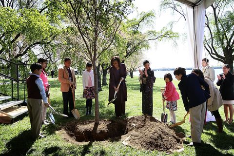 The First Lady Attends The National Cherry Blossom Festival's Centennial Tree Planting