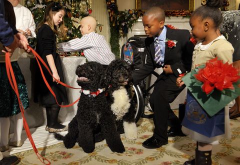 First Lady Michelle Obama welcomes military families to enjoy the White House holiday decorations in Washington, DC.