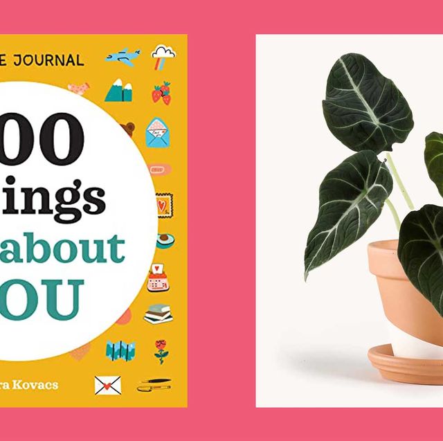 first valentine's day gifts 100 things i love about you journal and alocasia potted plant