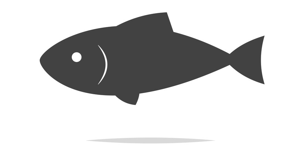 fish icon vector isolated