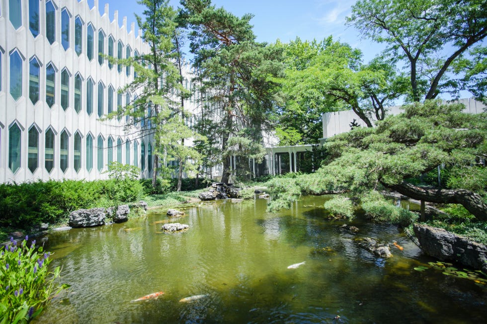 fish pond, oberlin college conservatory, ohio