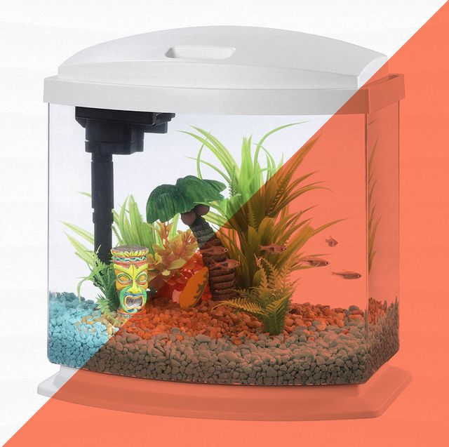 Betta Fish Tank Kit, 3 Gallon Aquarium Self-Cleaning with LED Light, Filter