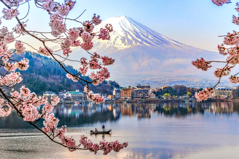 Fisherman sailing boat in Kawaguchiko Lake and Sakura with Fuji Mountain Reflection Background fisherman sailing boat in kawaguchiko lake and sakura with fuji mountain reflection background