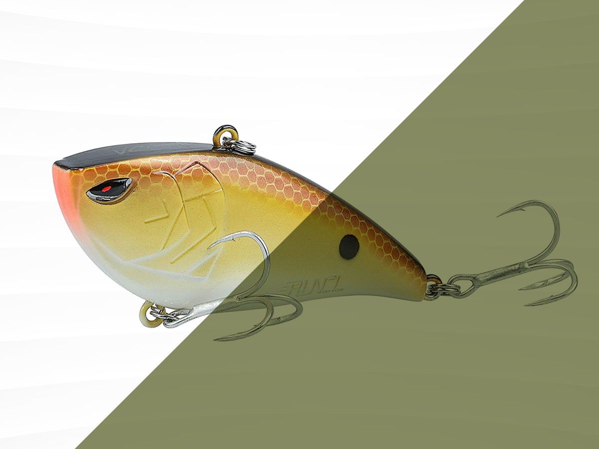 Fishing lures: Are plastic baits environmental menace or simple