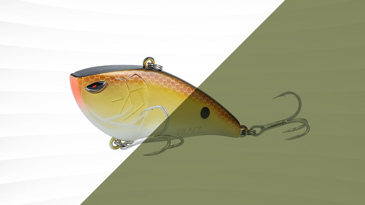 8 Best Fishing Lures 2022  Lures, Bait, and Flies for Fishing