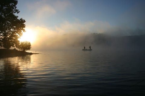OZARKS MISSOURIDe regio The Lake of the Ozarks heeft gezinnen een palet aan gezinsvriendelijke avonturen te bieden waaronder 32 wandelroutes twee staatsnatuurparken en vier grotten die open zijn voor het publiek Verder naar het zuiden kun je relaxen in een blokhut van Big Cedar Lodge waarna je een paardrij of fietstour door het Dogwood Canyon Nature Park kunt ondernemen Alle ervaringen kunnen met een zoet stuk beton bevroren custard in de hand worden verrijkt