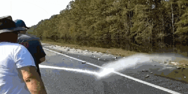 Hundreds of fish stranded on I-40 after Hurricane Florence floodwaters  recede