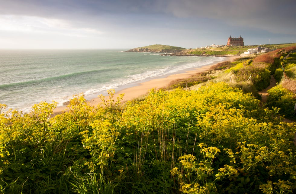 dog friendly beaches uk