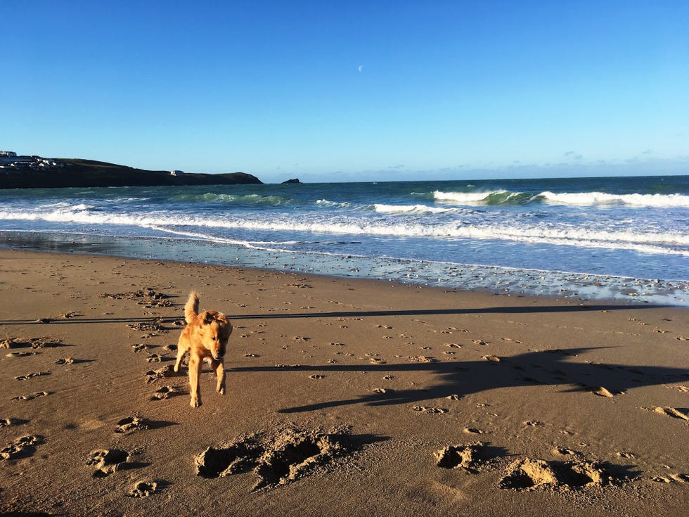 Moving To Newquay? An Insider’s Guide To This Cornish Seaside Town