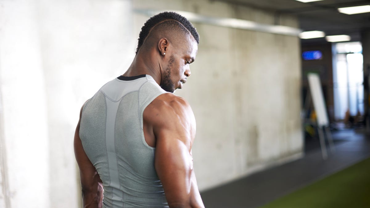 20 Best Back Exercises & Back Workouts for Building Muscle