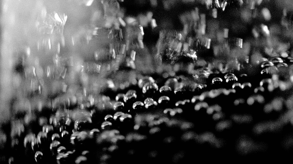Water, Black, Black-and-white, Monochrome, Monochrome photography, Moisture, Dew, Photography, Leaf, Tree, 