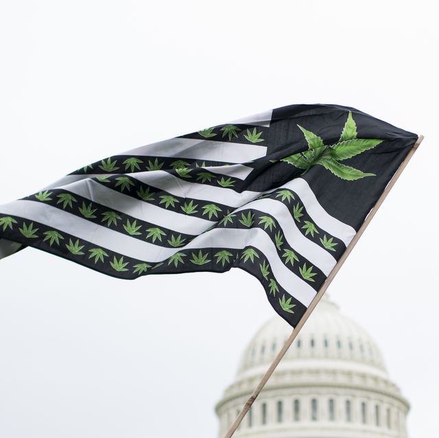 marijuana protest at capitol