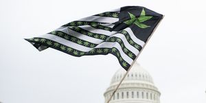 marijuana protest at capitol