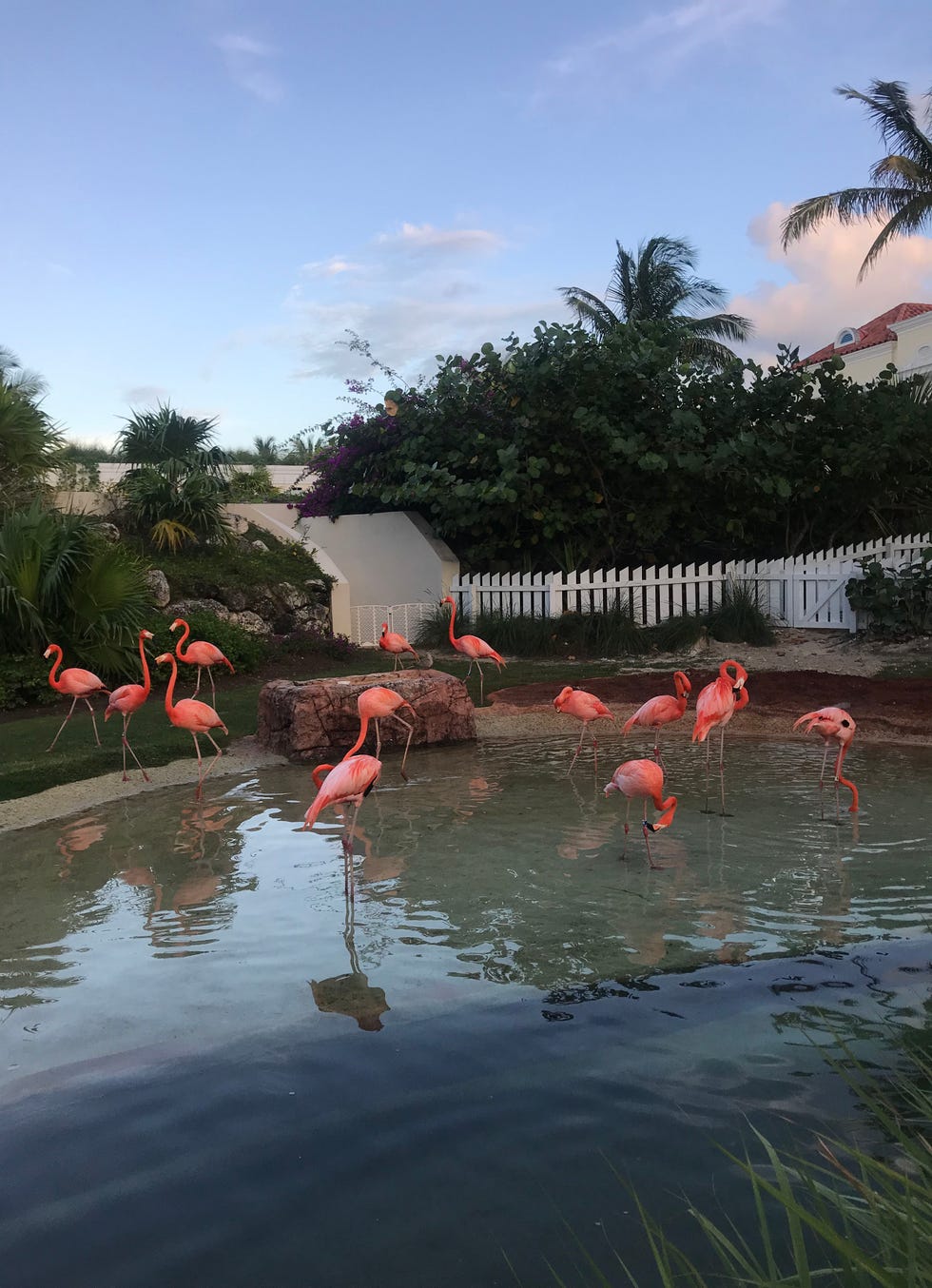 Flamingo Pose Instagram Trend - How to Pose for Photo