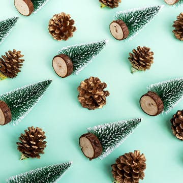 flat lay christmas trees and pine cone backgrounds