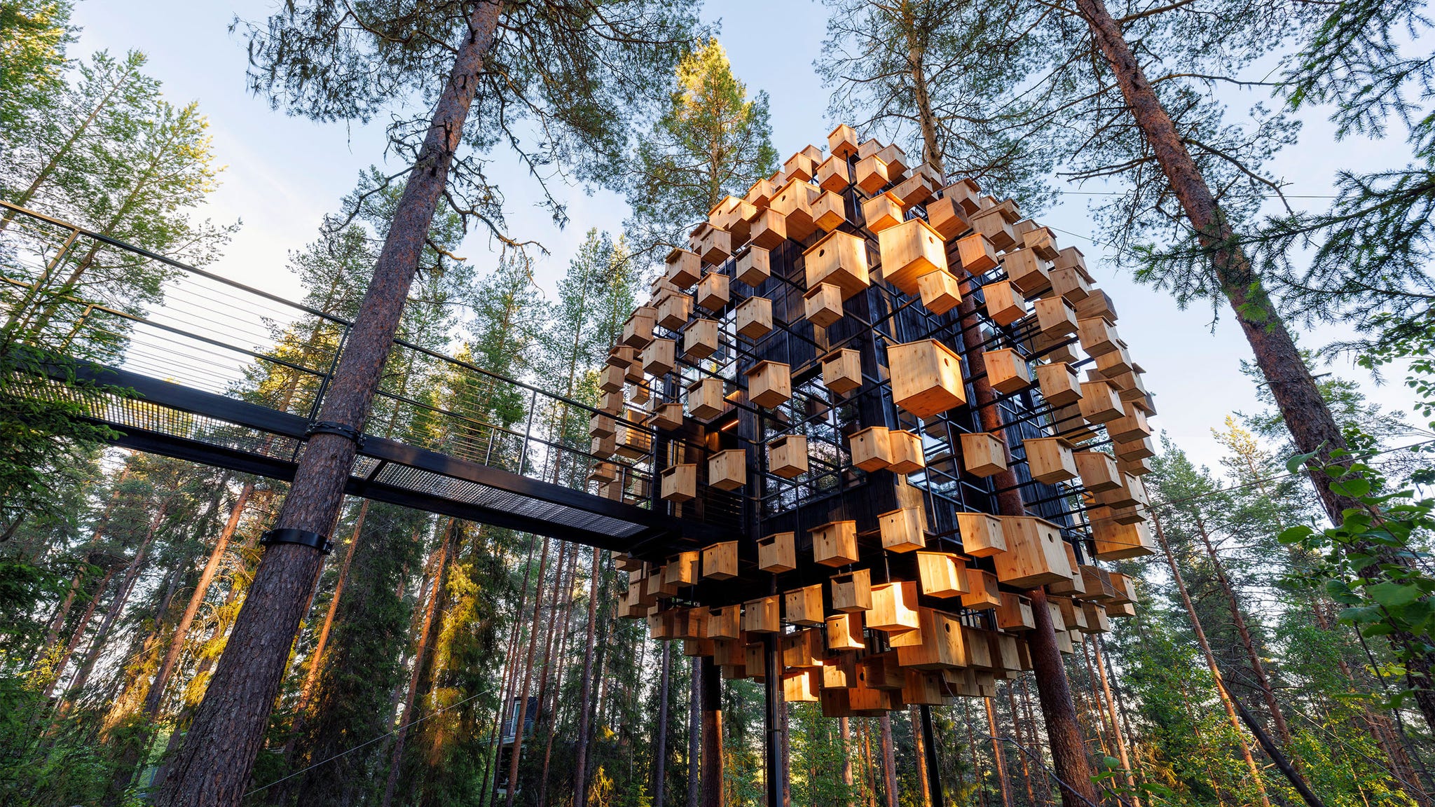 the biosphere ﻿at the treehotel