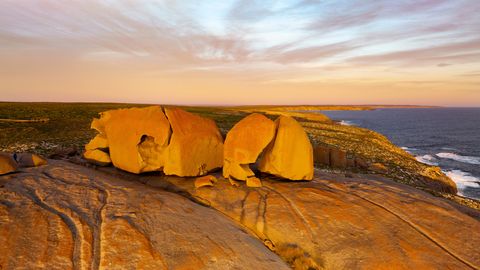 kangaroo island flinders chase national park australia