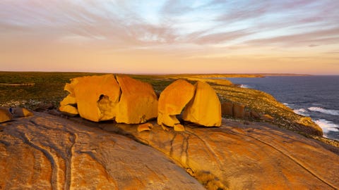 kangaroo island flinders chase national park australia kangaroo island flinders chase national park australia