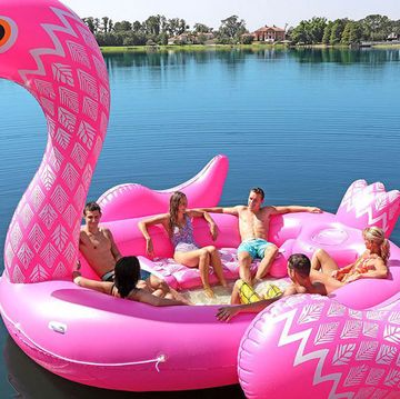 Water transportation, Swan boat, Pink, Inflatable, Flamingo, Swan, Boat, Vehicle, Water bird, Bird, 