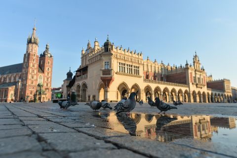Daily Life in Krakow Under Coronavirus Fear