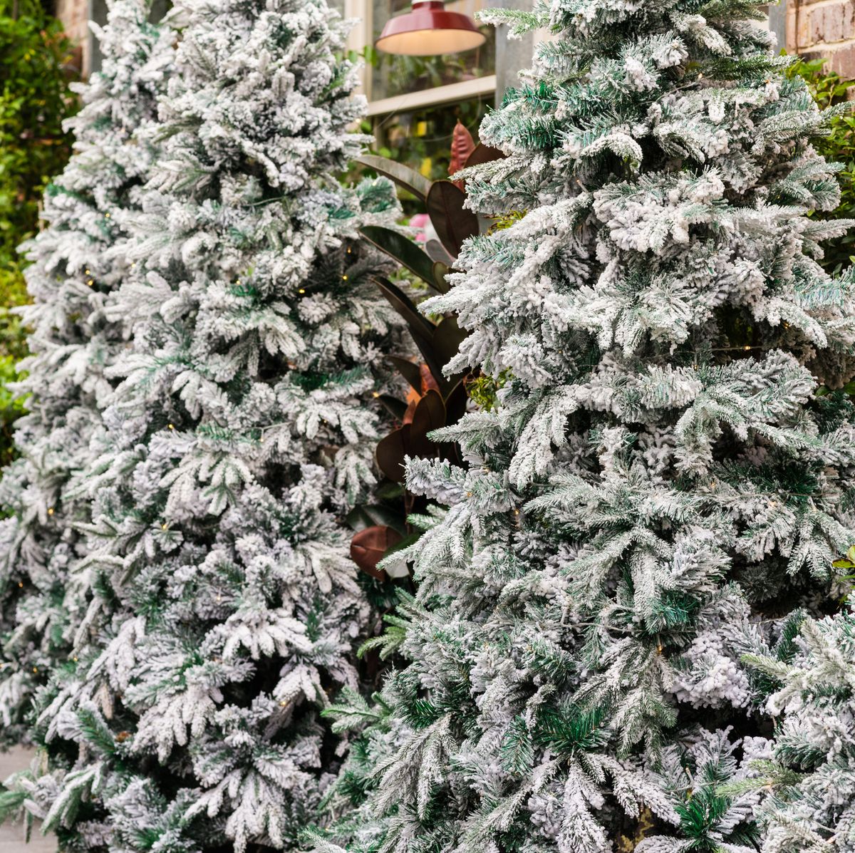 How to Flock a Real or Fake Christmas Tree
