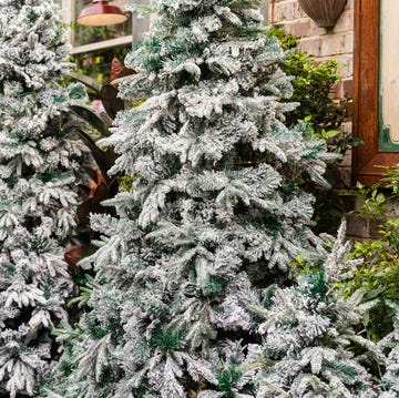 flocked christmas trees