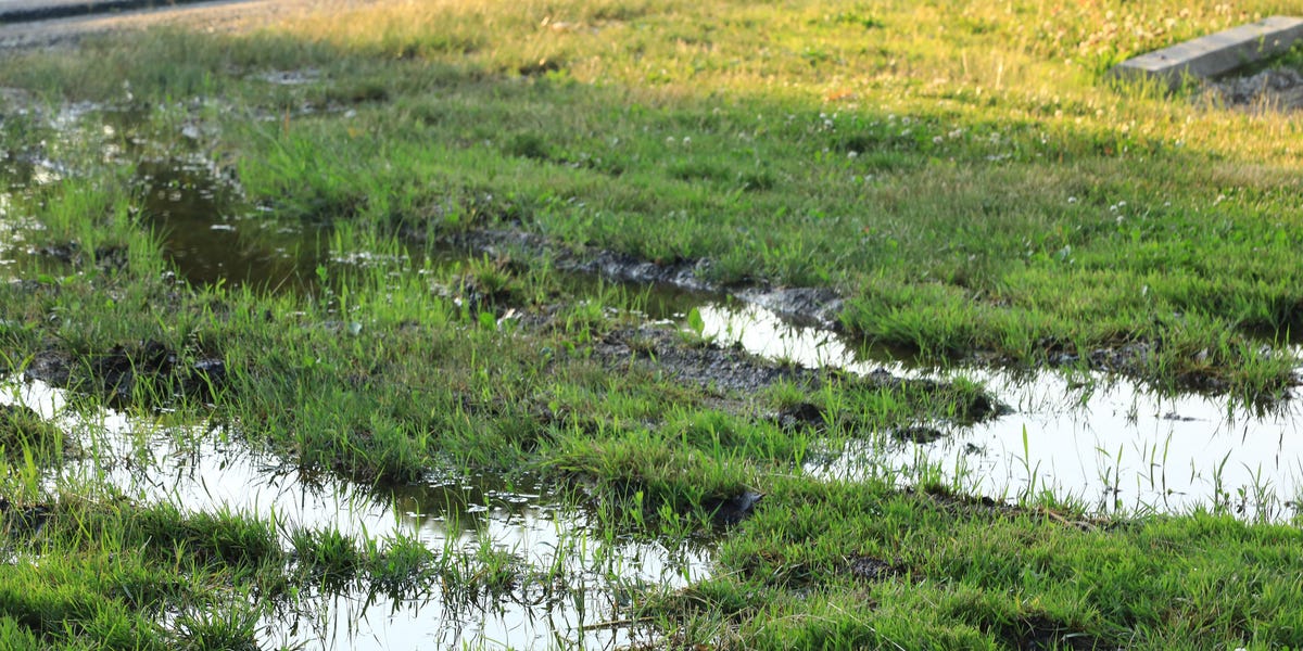 Transform a waterlogged lawn with this simple draining trick