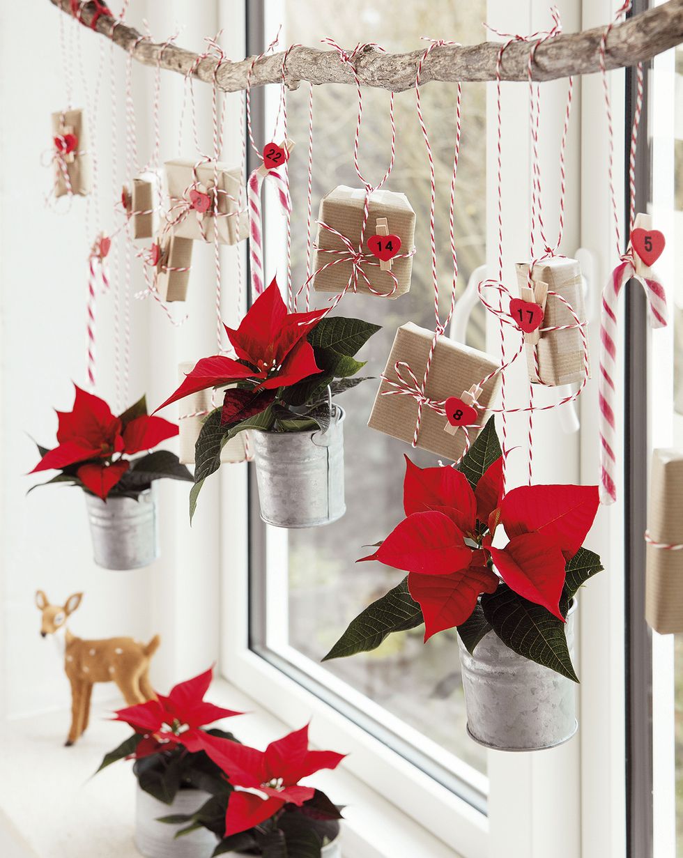 decoración de navidad con macetas colgantes de flor de pascua o poinsettias